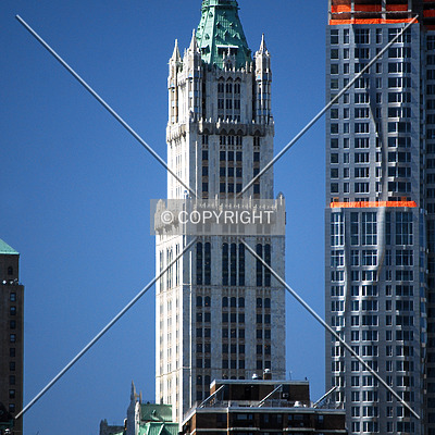 Woolworth Building by Royce Douglas