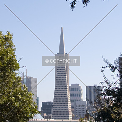 Transamerica Pyramid by Martin Bugajski