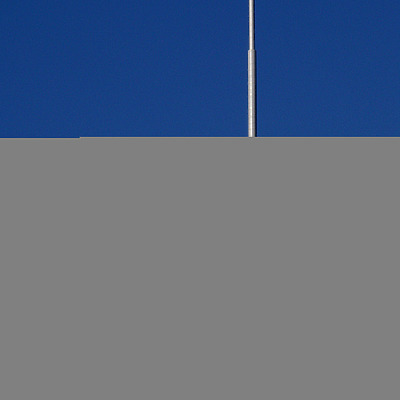 Trump International Hotel & Tower by B. Victor Adams