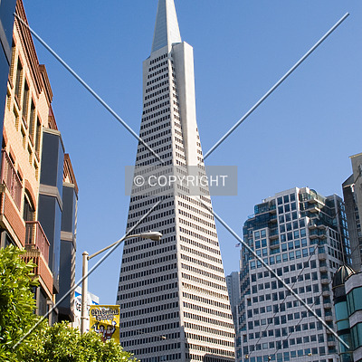 Transamerica Pyramid by Martin Bugajski