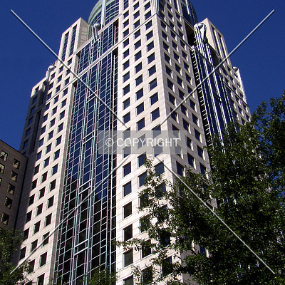 121 West Trade by Chris Patriarca