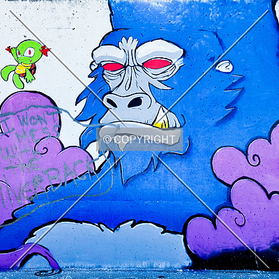 Saint Louis City Flood Wall (South Wall) by Ryan Hildebrand