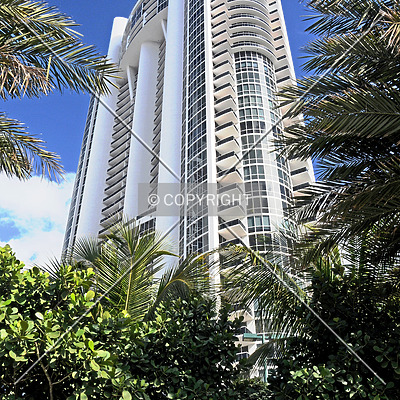 Trump Palace by Jorge Molina