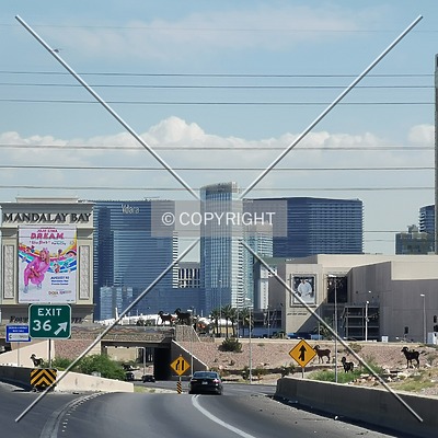 Aria Resort & Casino by Nephilim
