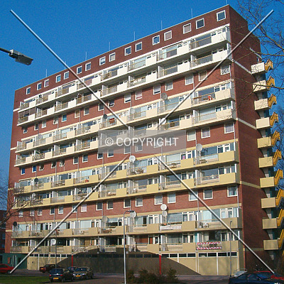 P.Breughel by René Hogendijk