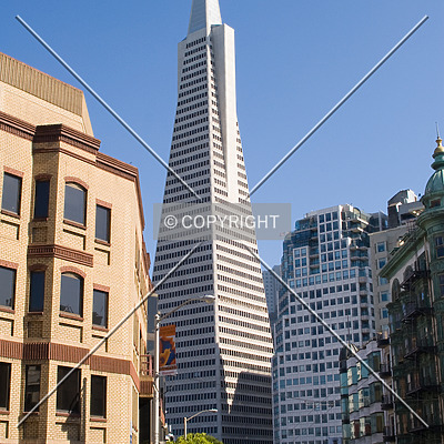 Transamerica Pyramid by Martin Bugajski
