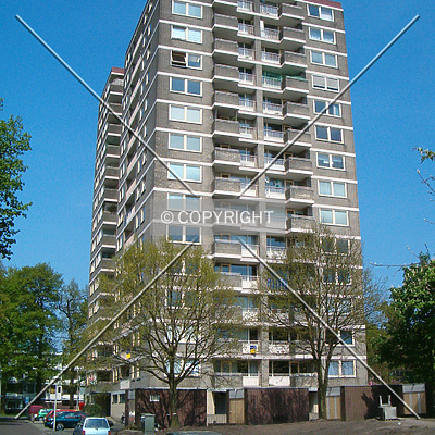 De Jeker by René Hogendijk