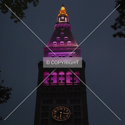 Metropolitan Life Tower by Royce Douglas