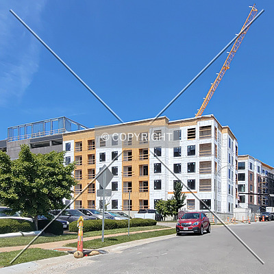 The McKenzie by Ryan Hildebrand