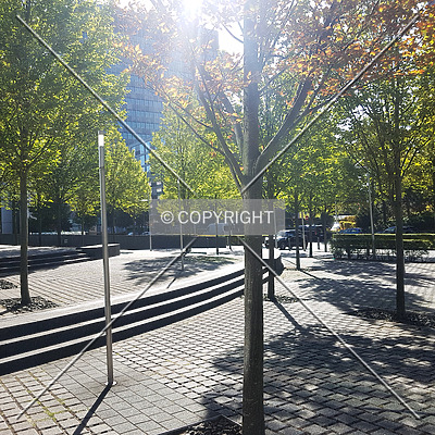 Herriot´s by Nephilim