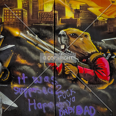 Saint Louis City Flood Wall (South Wall) by Ryan Hildebrand