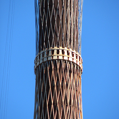 Sydney Tower by Wilson Ling