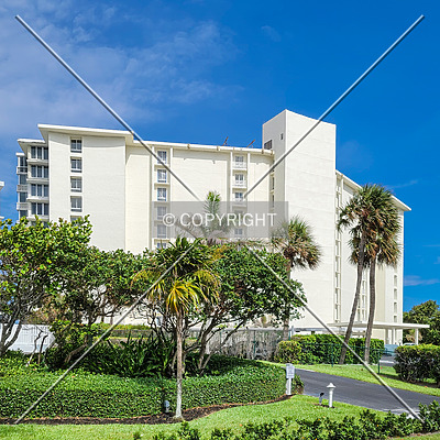 Banyan House by Ryan Hildebrand