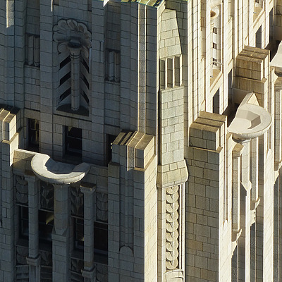 Shell Building by Nate Lindsey