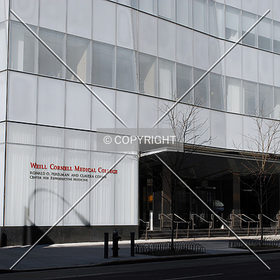Weill Greenberg Center, Weill Cornell Medical College by Royce Douglas