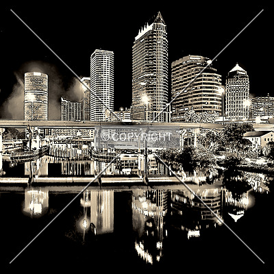 100 North Tampa by Jorge Molina