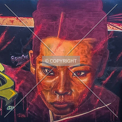 Saint Louis City Flood Wall (South Wall) by Ryan Hildebrand