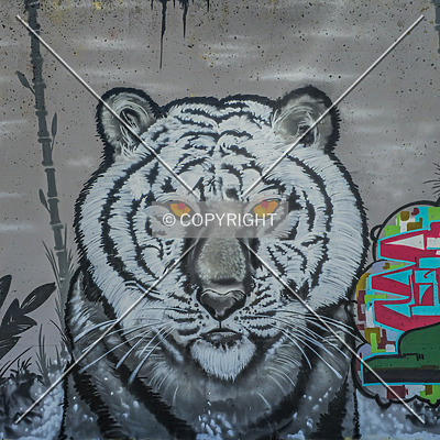 Saint Louis City Flood Wall (South Wall) by Ryan Hildebrand