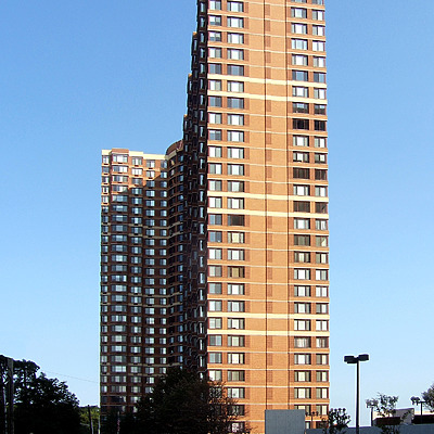 The Palisades by John Cahill