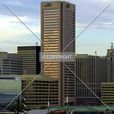 Transamerica Tower by Chris Patriarca