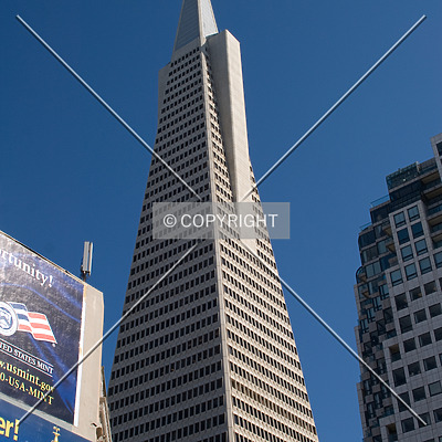 Transamerica Pyramid by Martin Bugajski