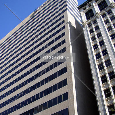 Palmetto Center by Chris Patriarca