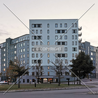 COLIVE Parkstråket by Robin Spetz