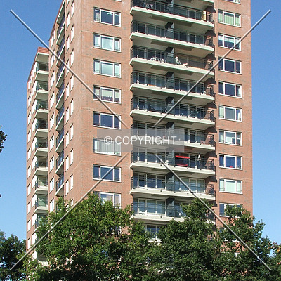 De Jeker by René Hogendijk