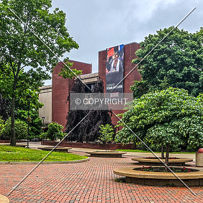 Elijah P. Lovejoy Library by Ryan Hildebrand