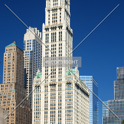 Woolworth Building by Royce Douglas