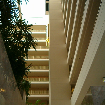 Renaissance Concourse Hotel Atlanta by Rodney Gunn