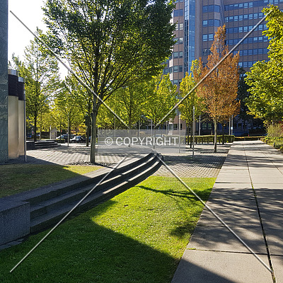 Herriot´s by Nephilim