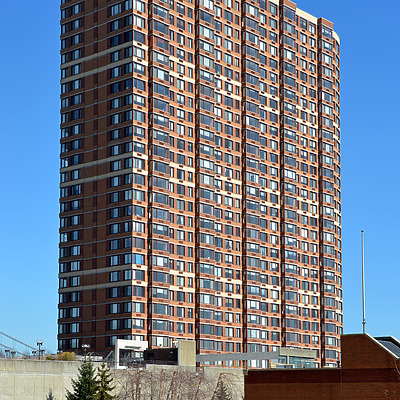 The Palisades by John W. Cahill