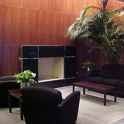 The Heritage at Millennium Park by B. Victor Adams