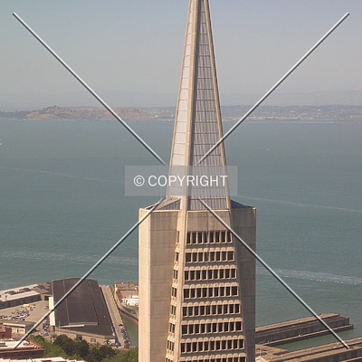 Transamerica Pyramid by Emmanuel D.