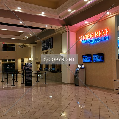 Mandalay Bay Hotel & Casino by Nephilim