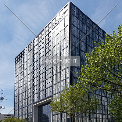 The Cube by Nephilim