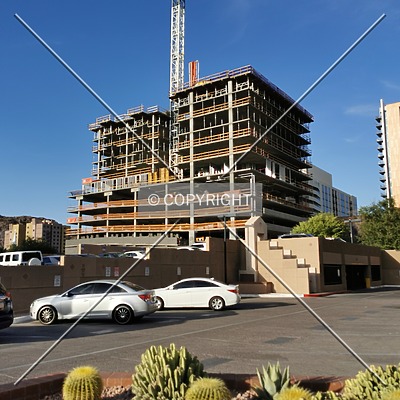 OLIV Tempe by Nephilim