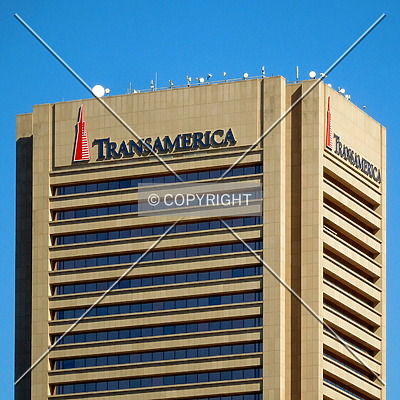 Transamerica Tower by Chris Patriarca