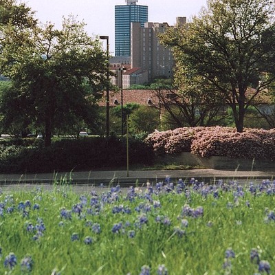 Dobie Center by Kevin Lehnhardt