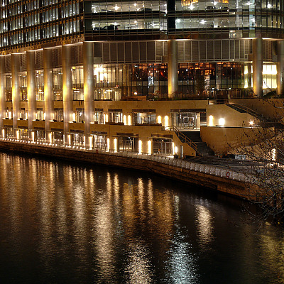 Trump International Hotel & Tower by B. Victor Adams