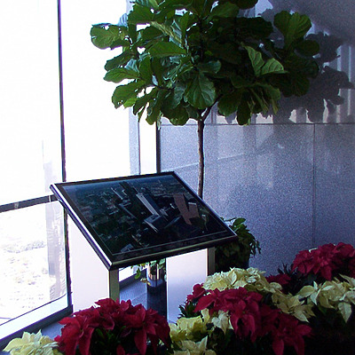 600 Travis by Daniel Kieckhefer