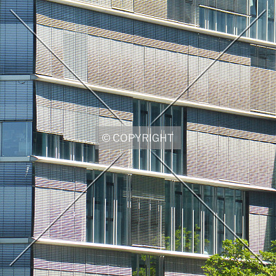 Allianz-Kai by Nephilim