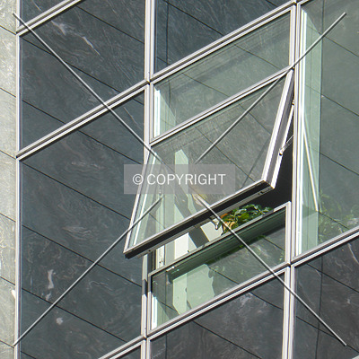 Herriot´s by Nephilim