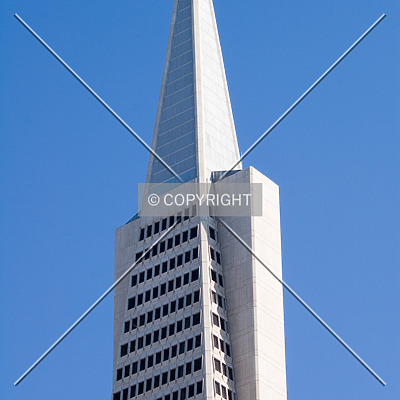 Transamerica Pyramid by Martin Bugajski