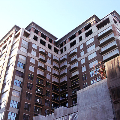 Parc Chestnut by Daniel Kieckhefer