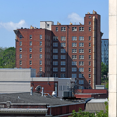 Jefferson Davis Apartments by John W. Cahill