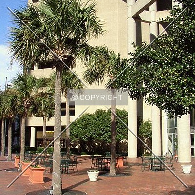 Palmetto Center by Chris Patriarca