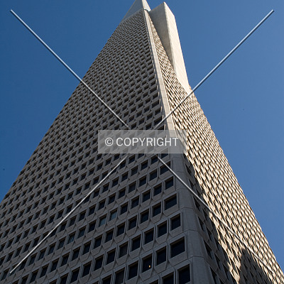 Transamerica Pyramid by Martin Bugajski