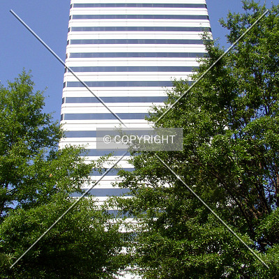 Capitol Center by Chris Patriarca